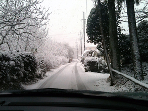 20100213_IMG_0021.jpg