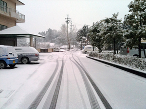 20100213_IMG_0024.jpg
