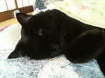 20100612_001.jpg