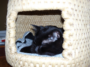 20100815_01.jpg