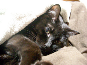 DSCN0429.jpg