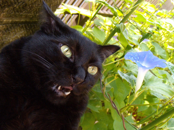 DSCN0810.jpg