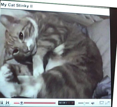 mmi_youtube_02.jpg
