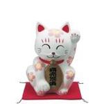 oidasi_cat003.jpg