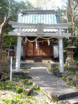 sakura 0003.jpg
