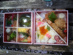 sakura 0004.jpg