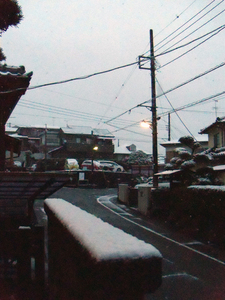 snow20100218_00.jpg