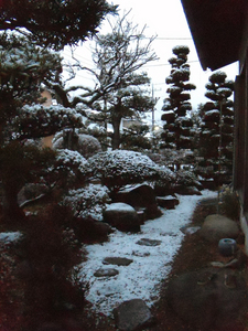 snow20100218_01.jpg