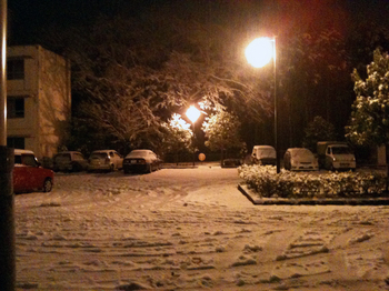 snow_20100309_00.jpg