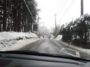 snow_2010_01.jpg