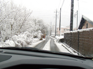 snow_2010_02.jpg
