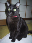 uno0808.jpg