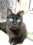 uno_DSCN0012.jpg