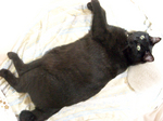 unosuke20080622_01.jpg