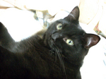 unosuke20080622_02.jpg