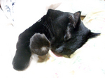 unosuke20080808_02.jpg