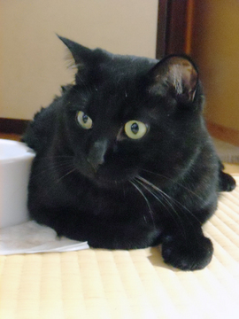 unosuke_002.jpg