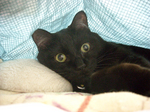 unosuke_20080914_01.jpg