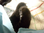 unosuke_20080914_02.jpg