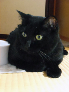 unosuke_20090814_01.jpg