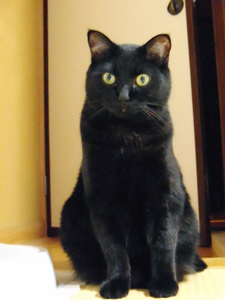 unosuke_20090814_02.jpg