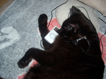 unosuke_ipod.jpg